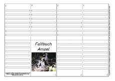 Faltbuch-Amsel-L-8.pdf